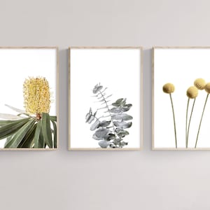 Botanical Prints Gallery Wall Digital Download Set of 3 Prints, Australian Natives 3 Piece Wall Art, Farmhouse Wall Art, Eucalyptus Print