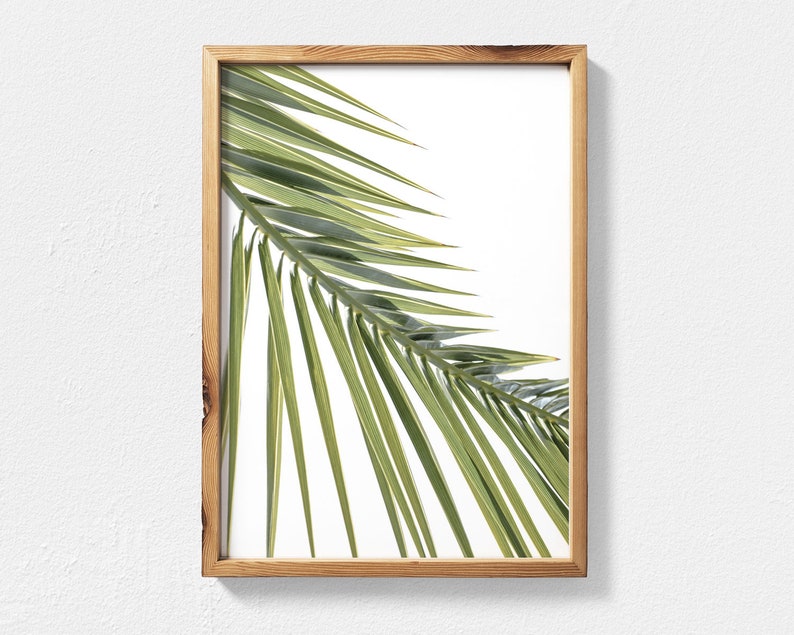 May include: A framed print of a single palm leaf against a white background. The leaf is green and has a natural, organic texture.