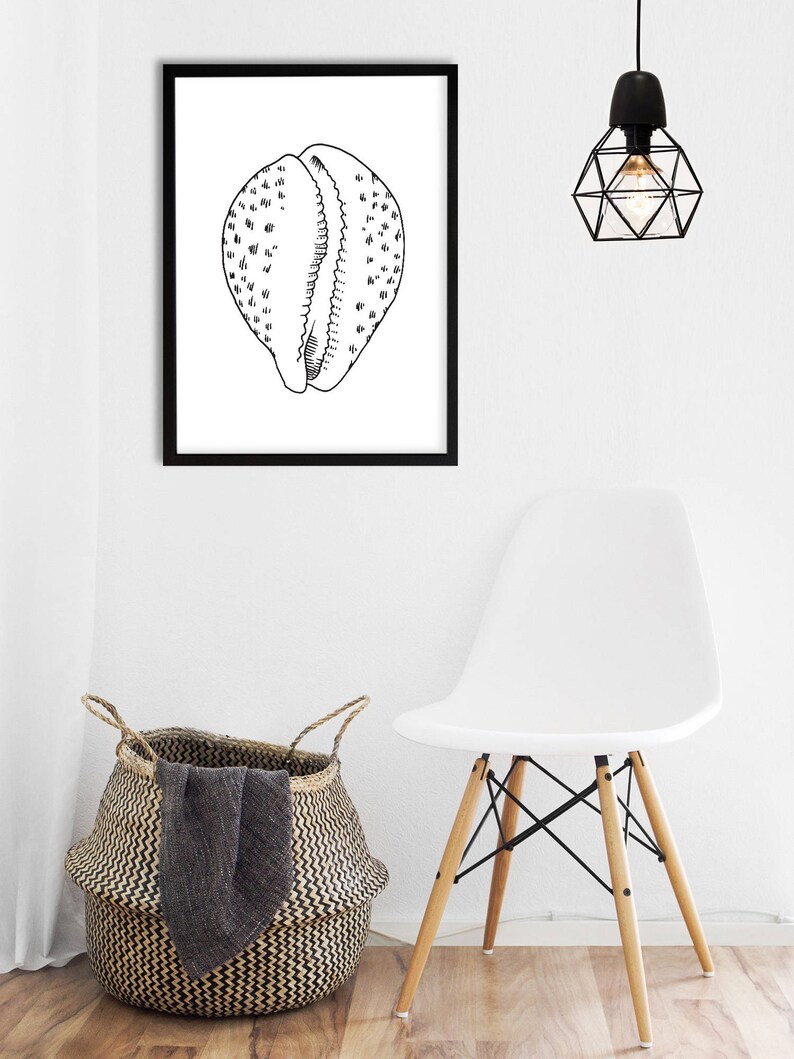 Cowrie Shell Coastal Wall Art Sea shell Wall Art Beach Wall Etsy
