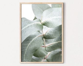 Eucalyptus Wall Art, Botanical Print Australian Wall Art, Digital Art, Australian Native Photo Wall Art, Printable Wall Art, Gum Leaf print