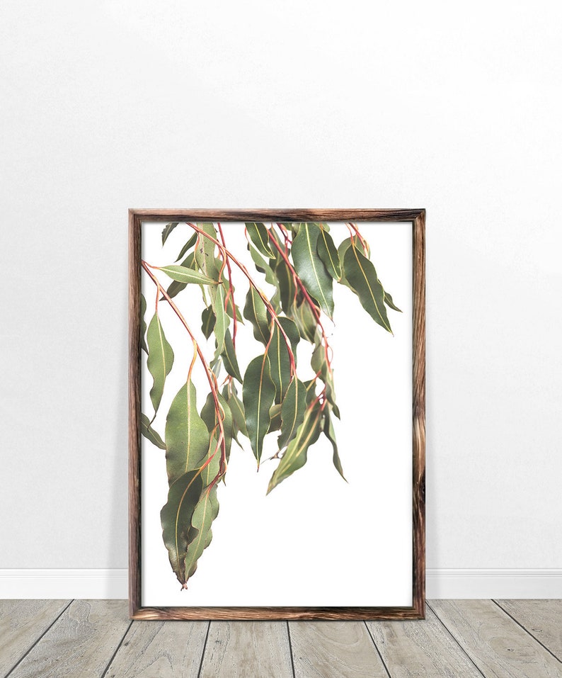 Botanical Printable Wall Art Eucalyptus Print Australian Etsy Australia