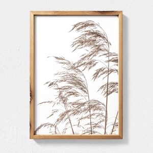 K&ouml;nnte beinhalten: Ein gerahmter Druck einer minimalistischen botanischen Illustration mit einem B&uuml;schel getrockneter Gr&auml;ser in Braunt&ouml;nen vor wei&szlig;em Hintergrund.