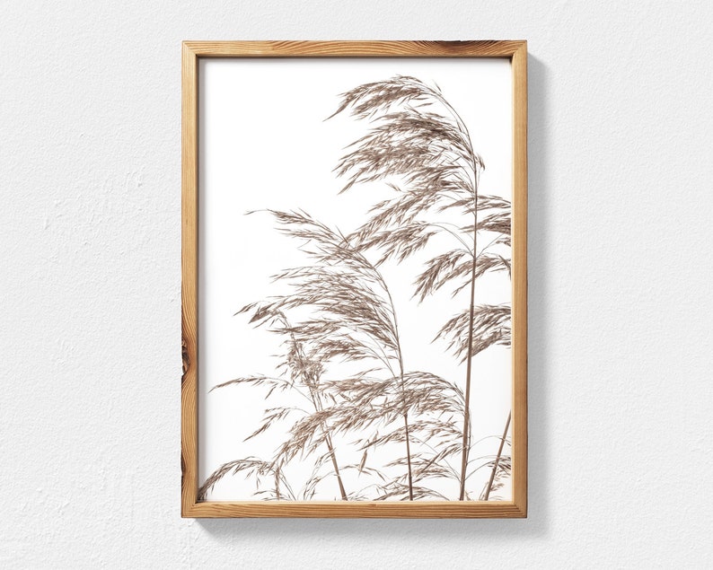 K&ouml;nnte beinhalten: Ein gerahmter Druck einer minimalistischen botanischen Illustration mit einem B&uuml;schel getrockneter Gr&auml;ser in Braunt&ouml;nen vor wei&szlig;em Hintergrund.