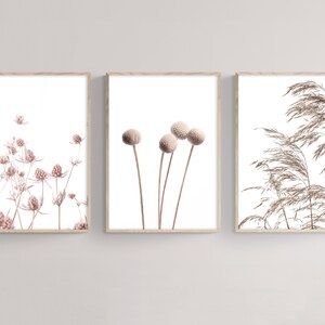 K&ouml;nnte beinhalten: Set aus drei botanischen Drucken mit getrockneten Blumen und Gr&auml;sern in Braun- und Beiget&ouml;nen. Die Drucke sind in naturfarbenen Holzrahmen gerahmt.
