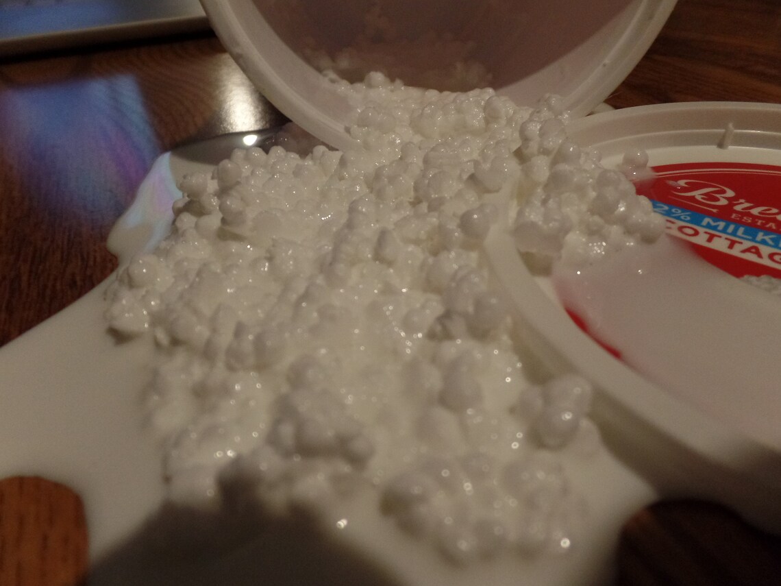 A fake cottage cheese spill Etsy