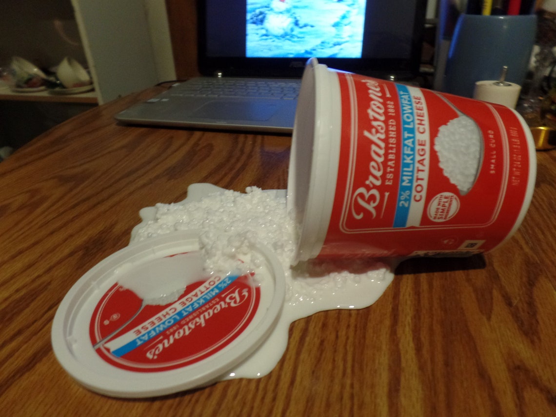 A fake cottage cheese spill Etsy