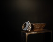 Rattlesnake Tail Ring, Recycled Silver, Real Rattlesnake Tail, Sterling Silver, chunky ring