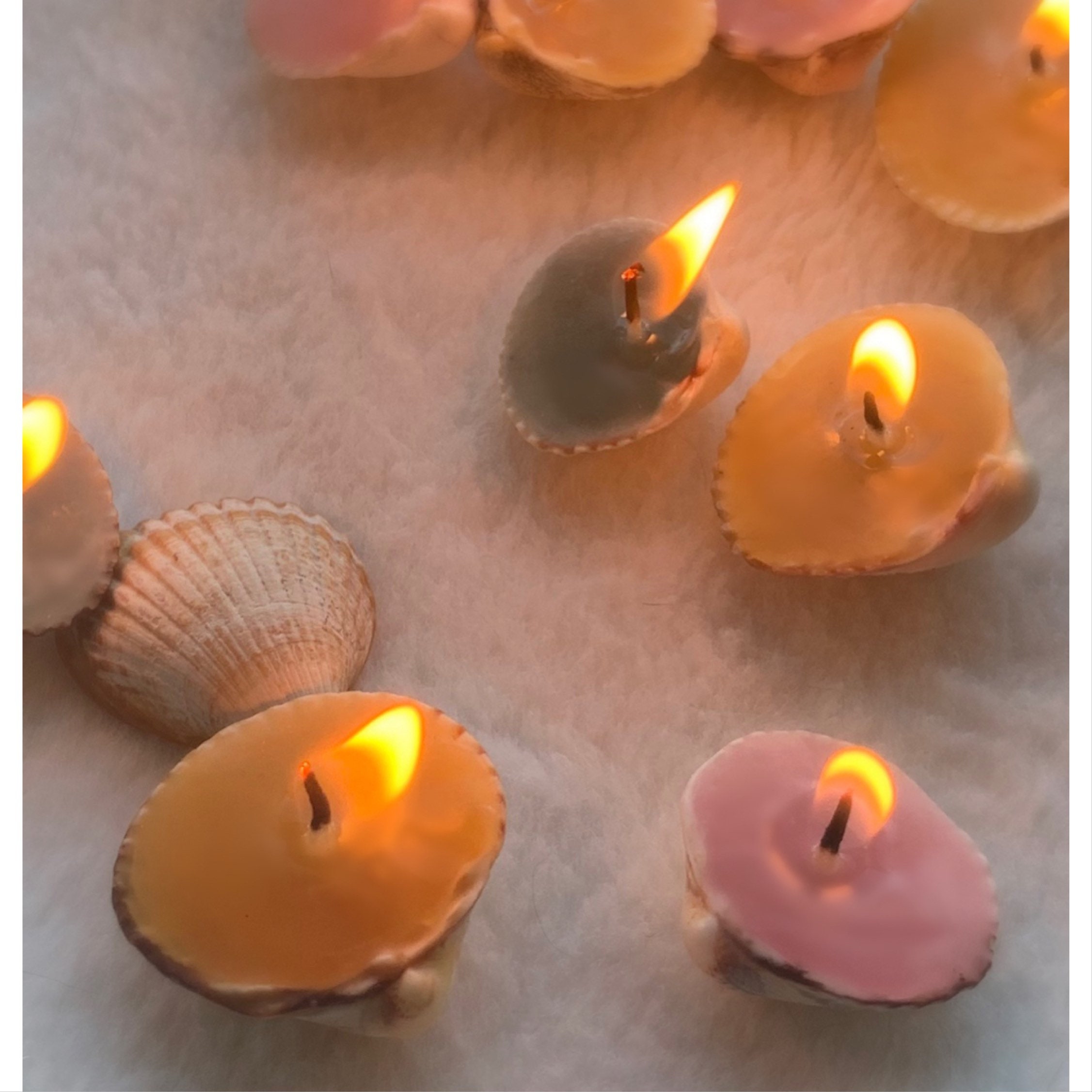 Coloured Sea Shell Candles Recycled Sea Shell Tealights Etsy UK
