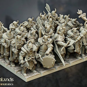 Varyag warriors Unit by Highlands Miniatures