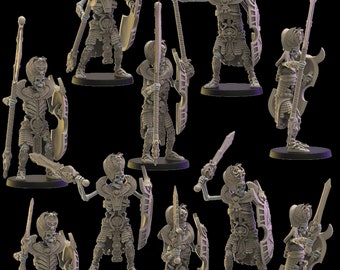 Dinastías Inmortales - Guardia de Amón-re por Lost Kingdom Miniatures