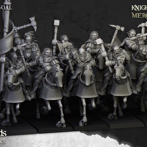 Mergenheim Knights Unit by Highlands Miniatures