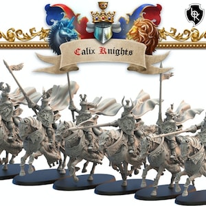 Kingdom of Mercia Calix Knights By Lost Kingdoms