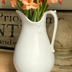 Antique Ironstone Large Ewer Pitcher Jug Etruria Pottery Fuchsia Flower Trenton New Jersey