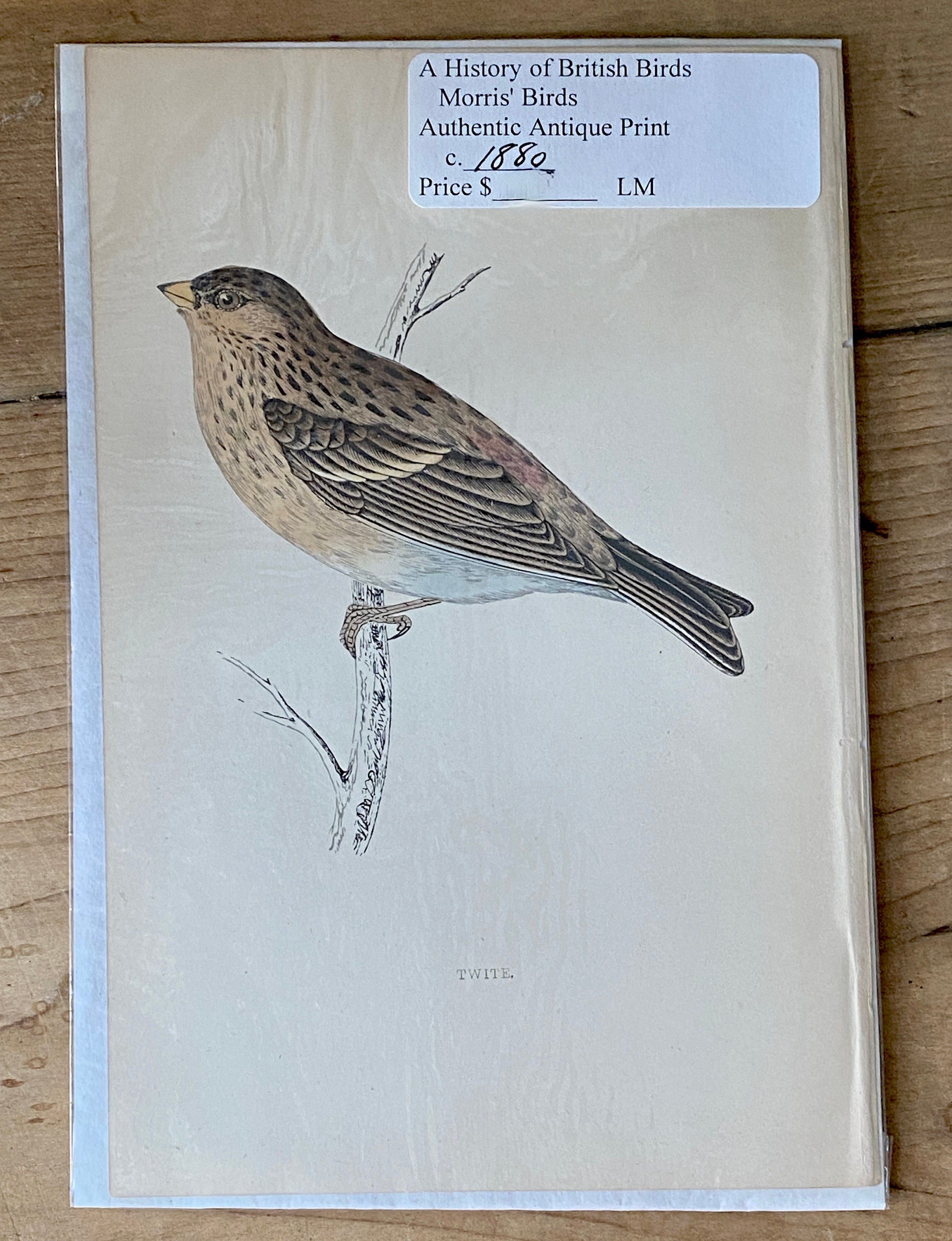 A History Of British Birds - The First Edition Rare Books