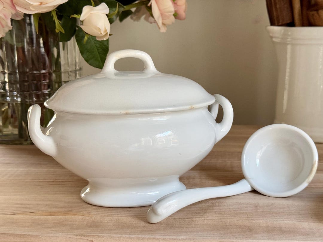 Antique Ironstone Covered Sauce Tureen With Ladle J & G Meakin 19th ...