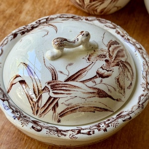 May include: A cream-colored ceramic sugar bowl with a matching lid featuring a brown floral transferware pattern of irises and foliage. The lid has a sculpted handle, and the rim of the bowl is decorated with a delicate brown vine and leaf border.