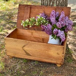 Antique Scrubbed Pine Blanket Chest With Bun Feet Small Country Farmhouse Storage Box