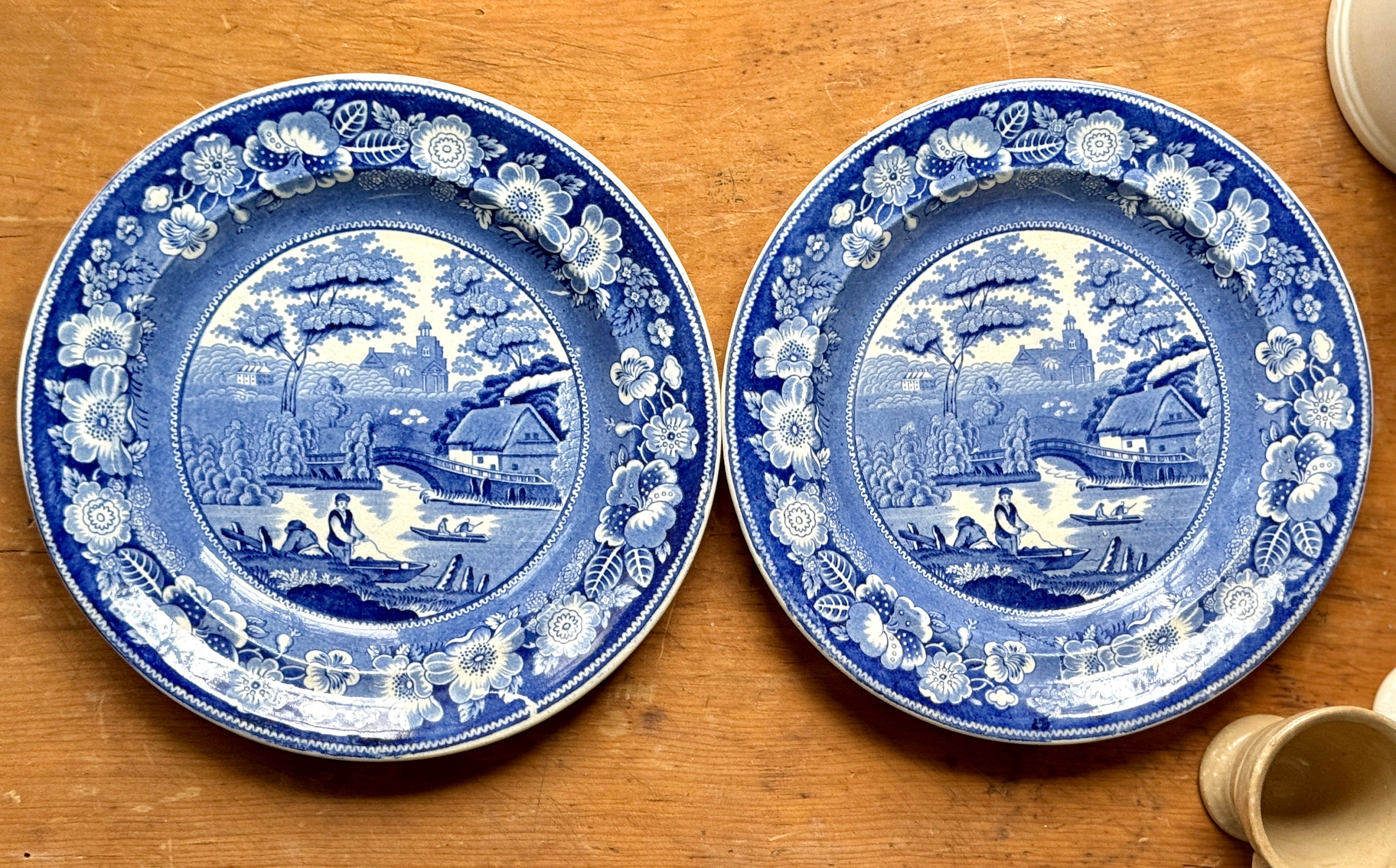 Antique Transferware Plates: Wild Rose Blue Ironstone
