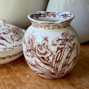 May include: A cream-colored ceramic jar with a scalloped rim and a brown transferware floral pattern featuring iris flowers. The jar has a rounded body and a matching lid is visible to the left, both decorated with the same brown botanical design.
