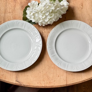 Antique 19th Century Sydenham Shape Ironstone Dinner Plates Set Of 2 T & R Boote Pottery Staffordshire England