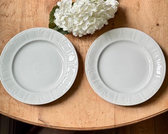 Antique Ironstone Dinner Plates - T & R Boote - Staffordshire England