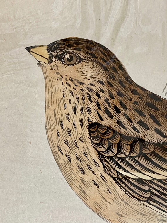 Antique Original Rev. F.O. Morris A History of British Birds Antique Original Rev. F.O. Morris A History of British Birds