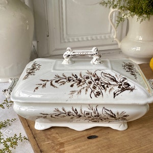 Antique 19th Century Brown And White SPRAY Covered Vegetable Dish Thomas Furnival & Sons Serving Bowl Staffordshire England
