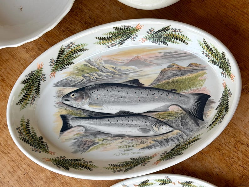 Vintage Portmeirion Oval Baker Sea Trout Fish Saving Dish Pottery ...