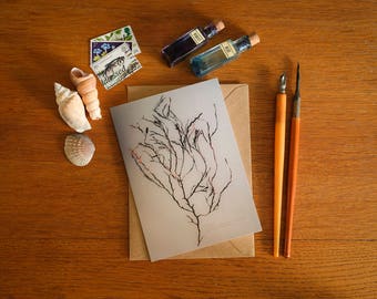 Sea Oak Seaweed Card - A6 greeting card - beautiful coastal art card