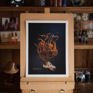 Polysiphonia Stricta-Seetang Print-28cm Kunstdruck-schöne Küstenkunstwerke