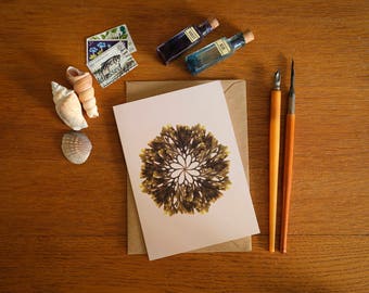 Toothed Wrack Spiral Seaweed Card - A6 greeting card - beautiful coastal art card