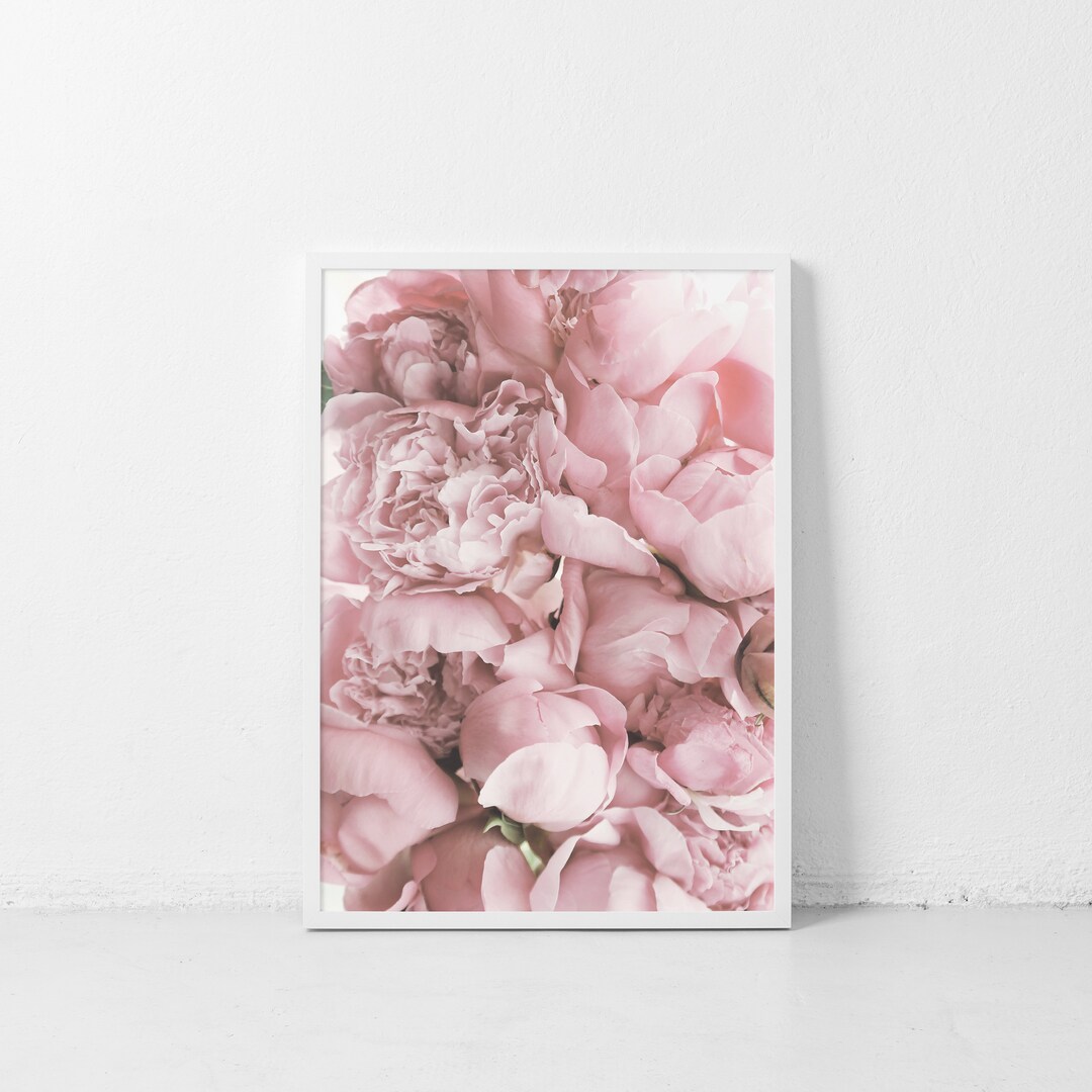 Pink Rose Art Print Girly Wall Art Colorful Feminine Blossom - Etsy