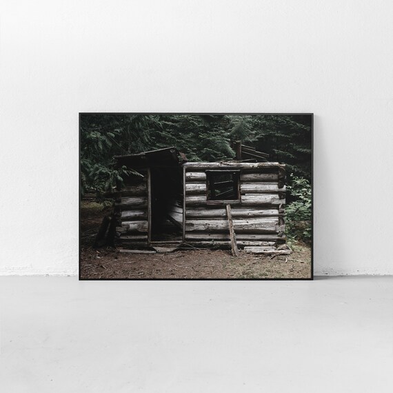 LANDSCAPE FOREST TREE PINE LOGGING TIMBER USA Vintage Canvas art Prints