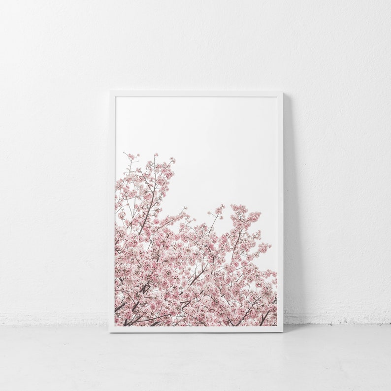 Cherry Blossom Fotografia Pastel Arbol Pared Arte Rosa Rama Etsy