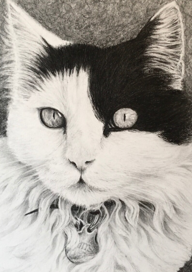 Custom Pencil Portraits Hand Drawn Pet Portraits Custom Etsy