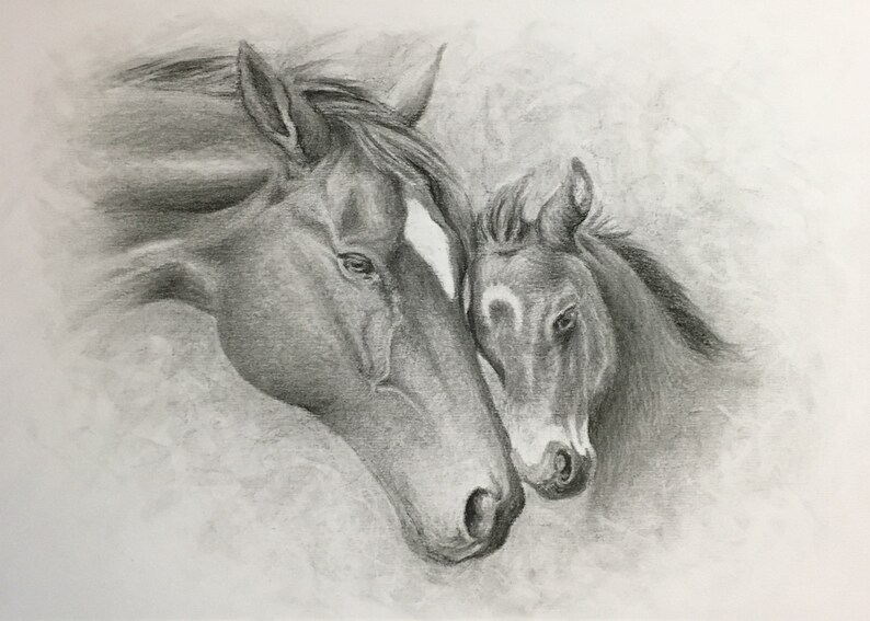 Custom Pencil Portraits Hand Drawn Pet Portraits Custom Etsy