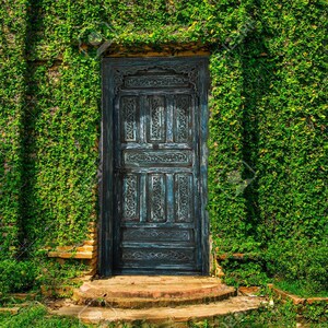 Vintage moroccan door handmade riad bedroom door closet bathroom old door