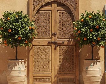 Handcrafted Moorish Carved Double Door: Moroccan Interior wooden door Panels