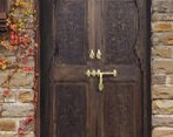 High end Vintag Moorish double entry door panels handmade carving indoor outdoor moroccan bedroom wooden door with brass hardware
