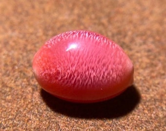 5.75 Carat (SOLD) Queen Conch Pearl From Caribbean Sea, Pearls Strombus Gigas, Natural Queen Conch Pearl, Flamed Pink Pearl, Gift for Her