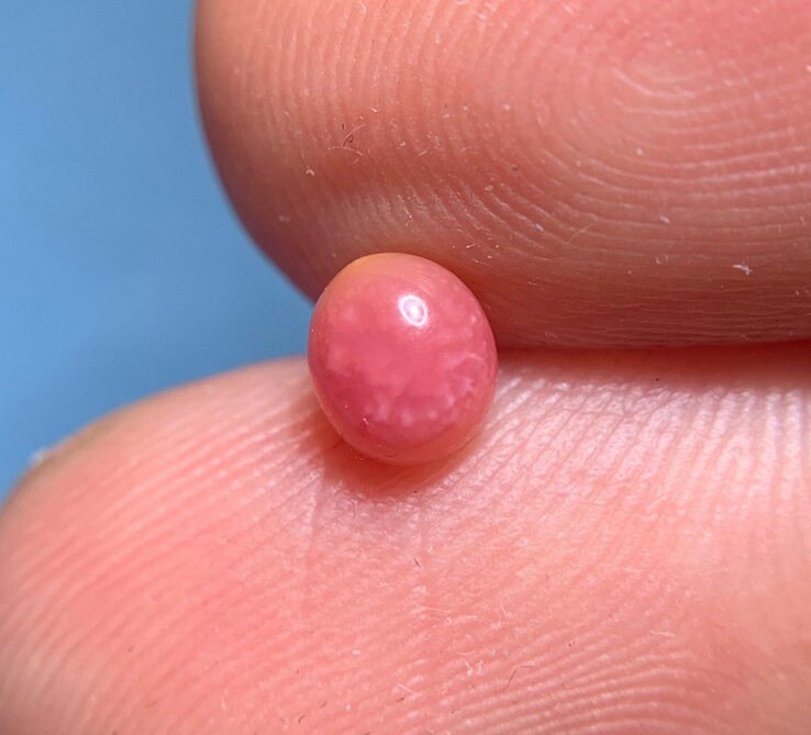 0.69carat Queen Conch Pearl From Caribbean Sea Pearls Etsy UK