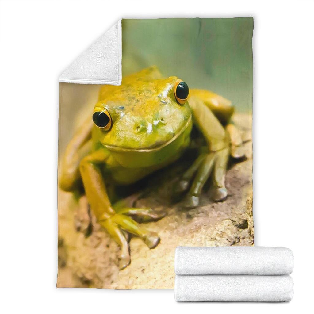 Adorable Frog Shaped Nightlight Lamp Holiday Gifts For Kids Girls Boys Teen Christmas Present Stocking Stuffer Ideas For Neices Nephews Green Frog Soft Vinyl