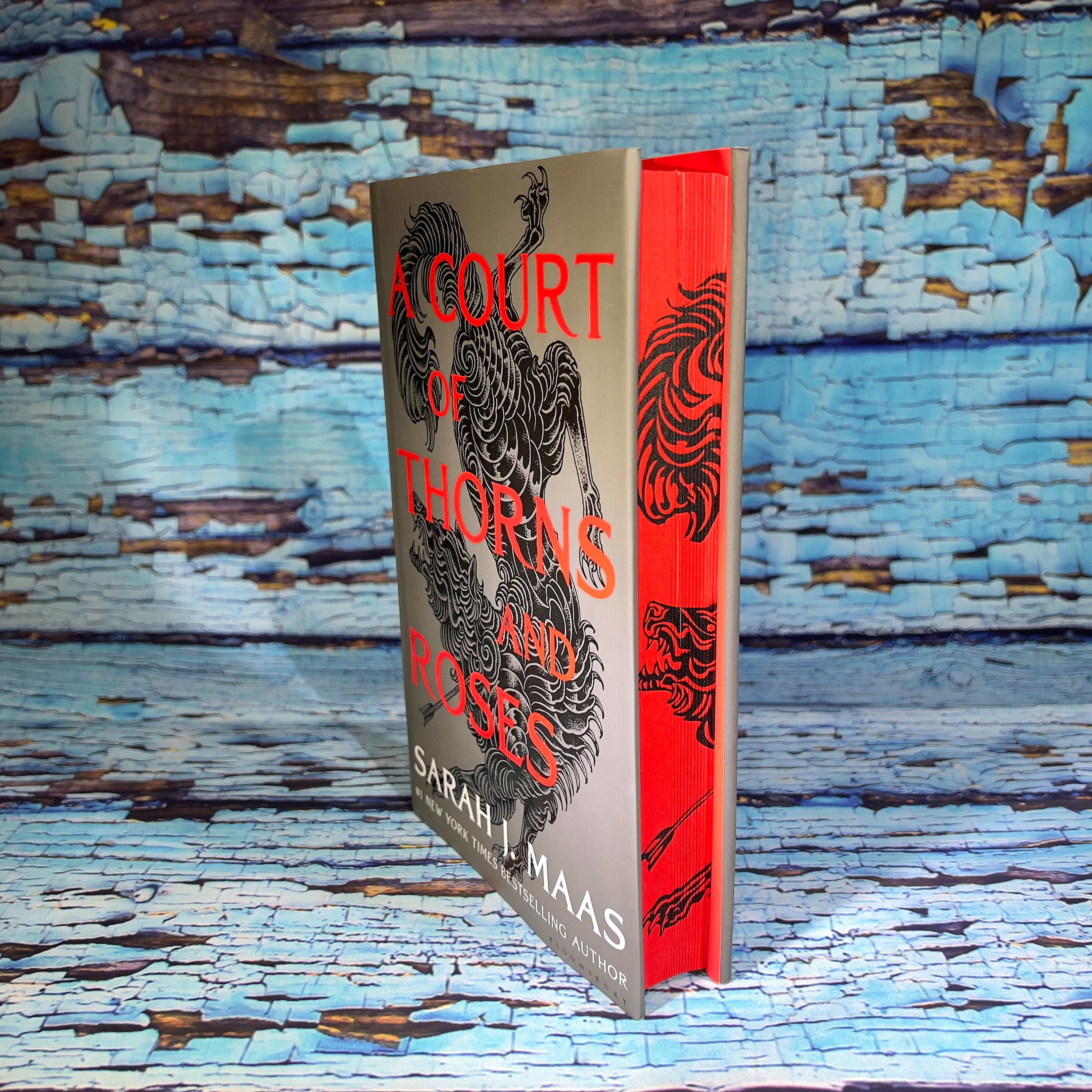 A Court of Thorns and Roses series by Sarah J Maas with Custom Stenciled & Sprayed Edges