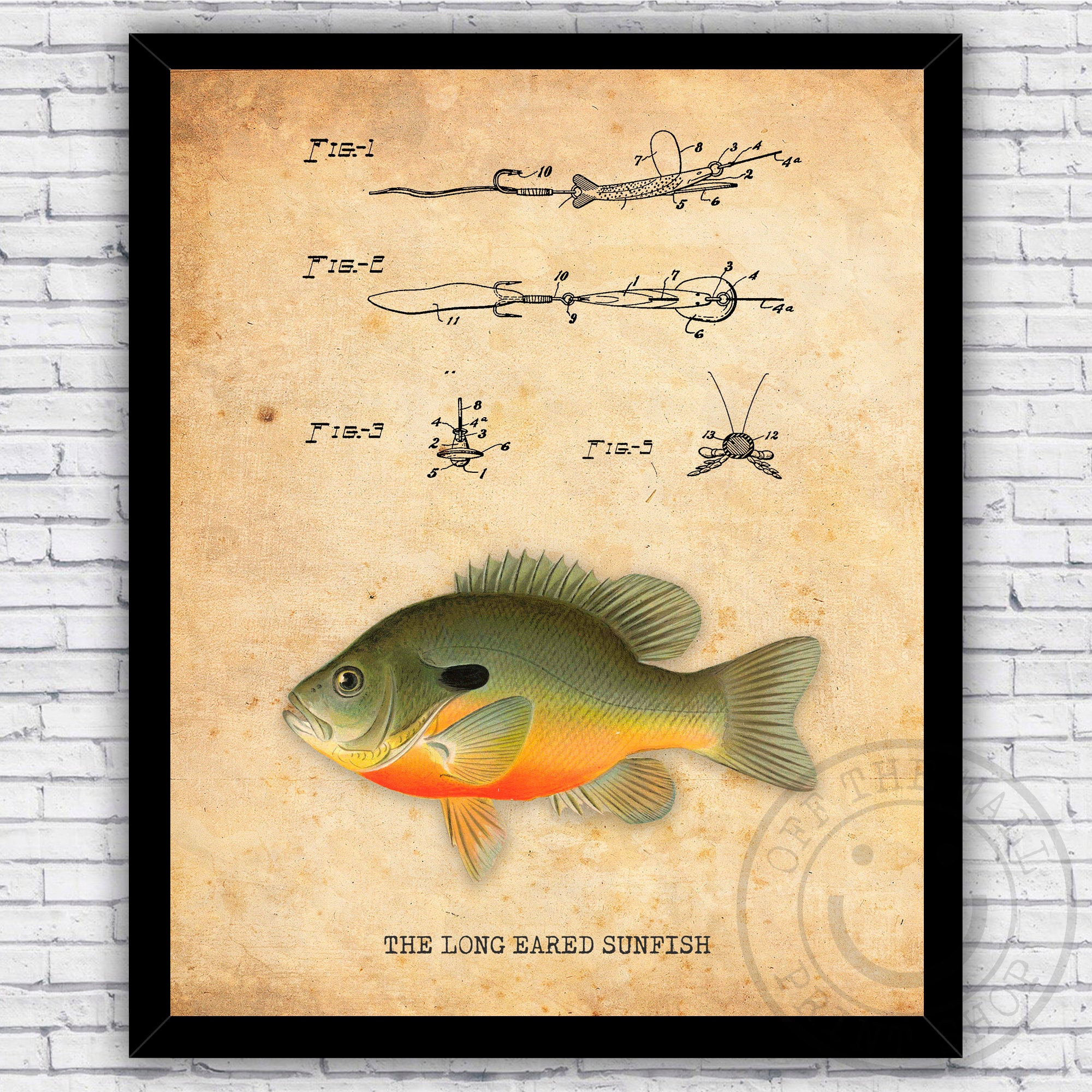 Long Eared Sunfish Fishing Lure Hook Patent Blueprint Wall Art