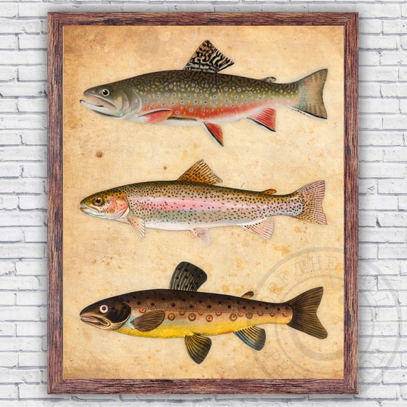 Brook Trout Fly Fishing Lure Patent Wall Art Print Decor, Size and Frame  Options