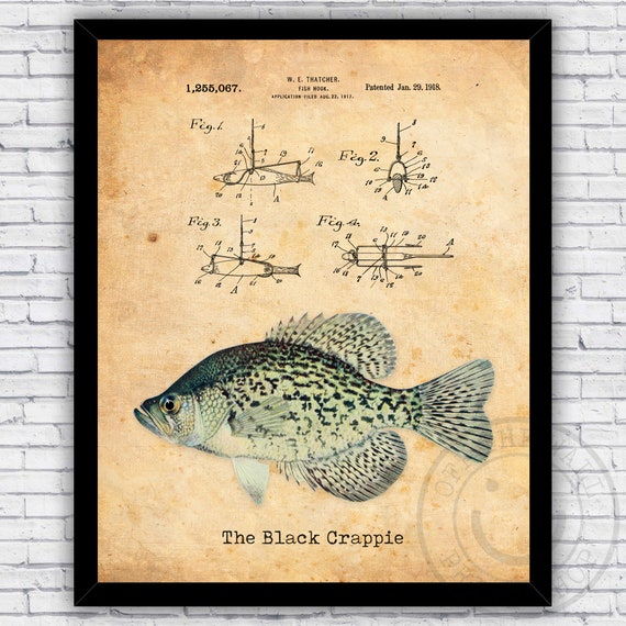 Brook Trout Fly Fishing Lure Patent Wall Art Print Decor, Size and Frame  Options