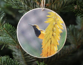 Olive-backed Sunbird Photo Ornament