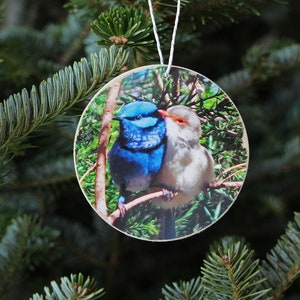 Pair of Splendid Fairy-wrens Photo Ornament