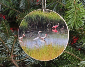 Louisiana Water Birds Photo Ornament