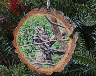 Tawny Frogmouth Rustic Photo Ornament